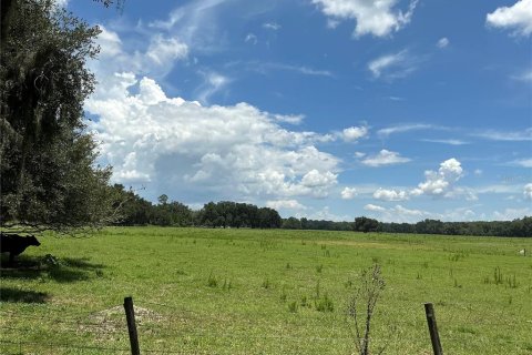 Land in Webster, Florida № 2272891 - photo 30