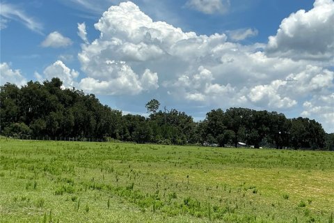 Land in Webster, Florida № 2272891 - photo 7