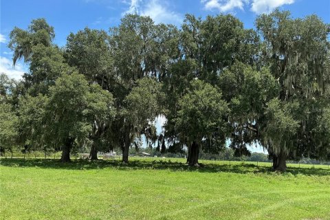 Terrain à Webster, Floride № 2272891