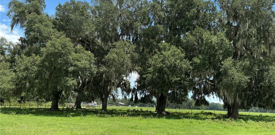 Land in Webster, Florida № 2272891