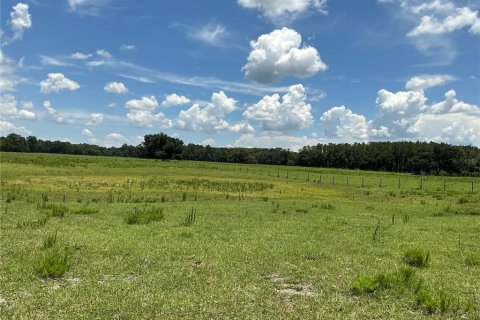 Land in Webster, Florida № 2272891 - photo 15
