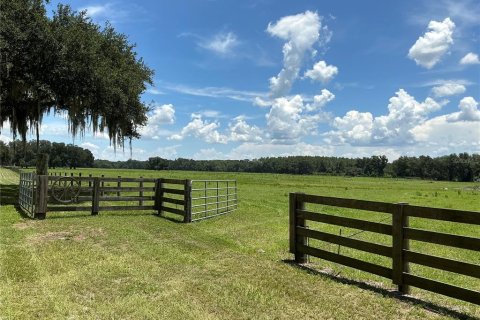 Land in Webster, Florida № 2272891 - photo 21