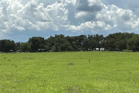 Land in Webster, Florida № 2272891 - photo 13