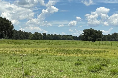 Land in Webster, Florida № 2272891 - photo 10