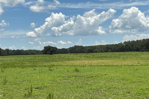 Land in Webster, Florida № 2272891 - photo 12