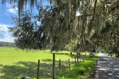 Land in Webster, Florida № 2272891 - photo 27