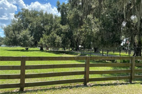 Land in Webster, Florida № 2272891 - photo 23