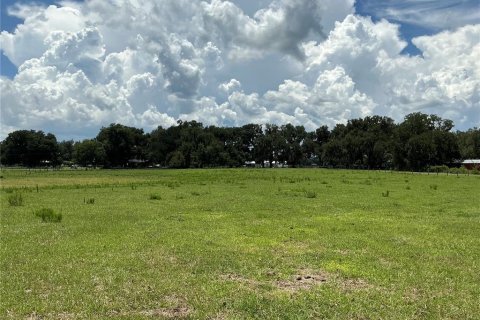 Land in Webster, Florida № 2272891 - photo 18