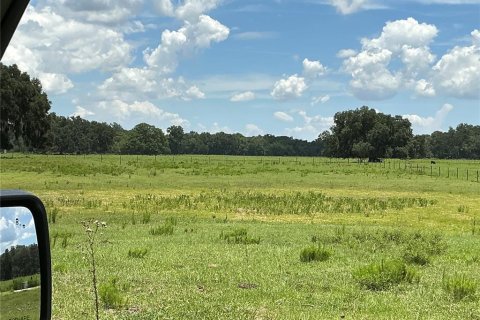 Land in Webster, Florida № 2272891 - photo 8