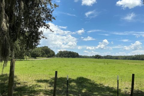 Land in Webster, Florida № 2272891 - photo 28