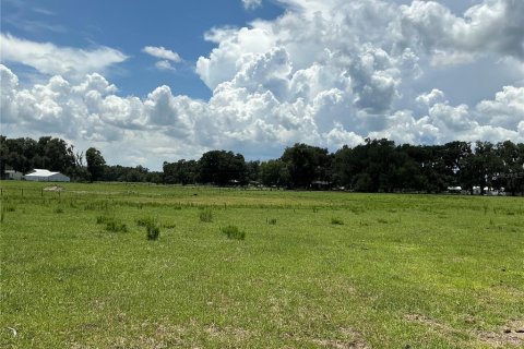 Land in Webster, Florida № 2272891 - photo 16
