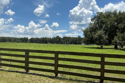 Land in Webster, Florida № 2272891 - photo 22