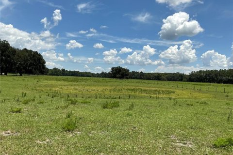 Land in Webster, Florida № 2272891 - photo 14