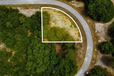 Land in Poinciana, Florida № 216741 - photo 22