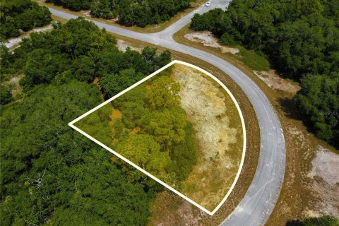 Land in Poinciana, Florida № 216741 - photo 19