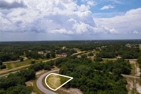 Land in Poinciana, Florida № 216741 - photo 17