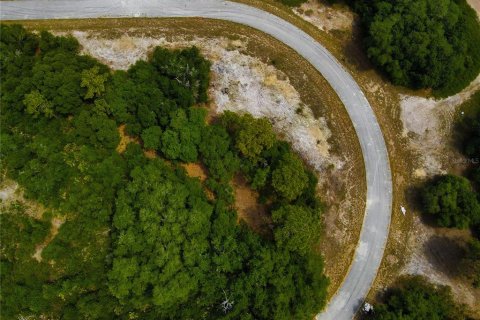 Land in Poinciana, Florida № 216741 - photo 10