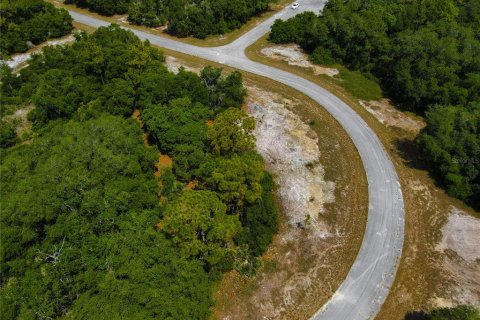 Land in Poinciana, Florida № 216741 - photo 14
