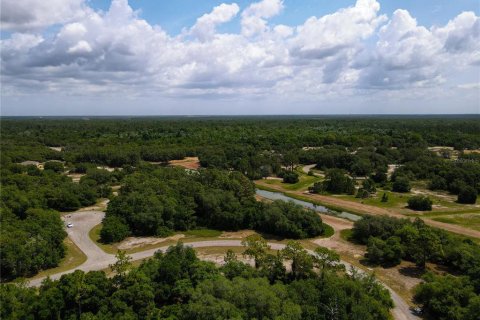 Land in Poinciana, Florida № 216741 - photo 15