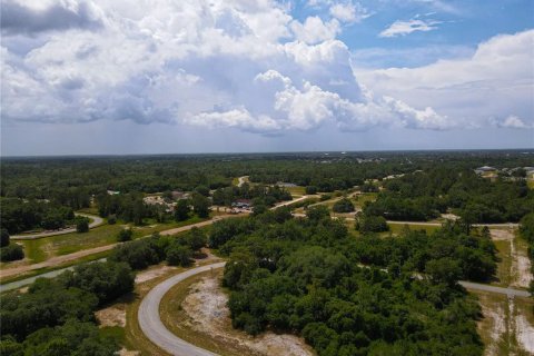 Land in Poinciana, Florida № 216741 - photo 13