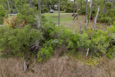 Land in Cedar Key, Florida № 2267423 - photo 5
