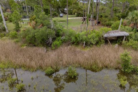 Land in Cedar Key, Florida № 2267423 - photo 4