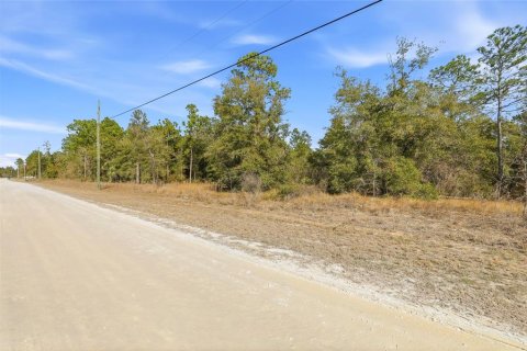 Terreno en venta en Weeki Wachee, Florida № 2108654 - foto 3
