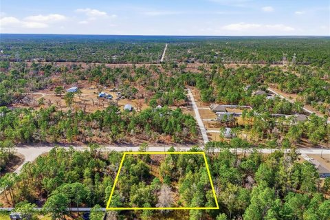Terreno en venta en Weeki Wachee, Florida № 2108654 - foto 7