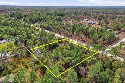 Terreno en venta en Weeki Wachee, Florida № 2108654 - foto 10