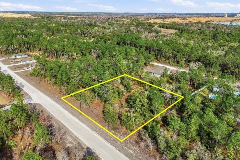 Terreno en venta en Weeki Wachee, Florida № 2108654 - foto 8