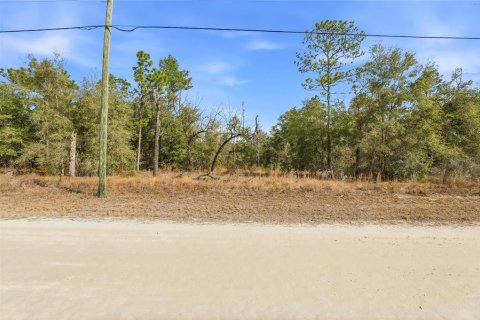 Terreno en venta en Weeki Wachee, Florida № 2108654 - foto 4