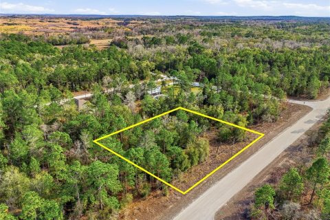 Terreno en venta en Weeki Wachee, Florida № 2108654 - foto 9