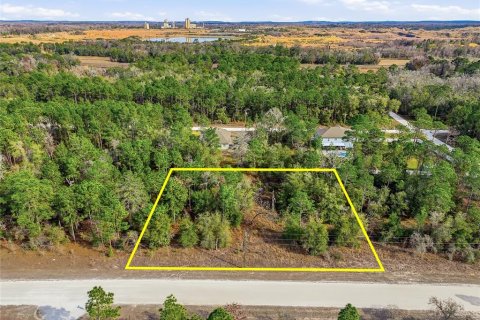 Terreno en venta en Weeki Wachee, Florida № 2108654 - foto 2