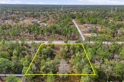 Terreno en venta en Weeki Wachee, Florida № 2108654 - foto 12