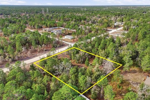 Terreno en venta en Weeki Wachee, Florida № 2108654 - foto 13