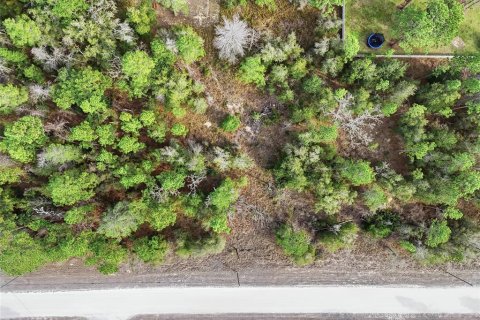 Terreno en venta en Weeki Wachee, Florida № 2108654 - foto 11