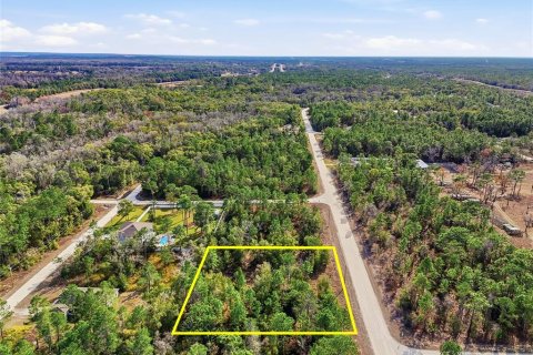 Terreno en venta en Weeki Wachee, Florida № 2108654 - foto 6