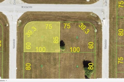 Terrain à Placida, Floride № 2205754