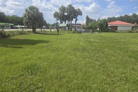 Land in Fort Meade, Florida № 1317789 - photo 4