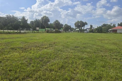 Land in Fort Meade, Florida № 1317789 - photo 5