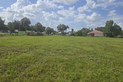 Land in Fort Meade, Florida № 1317789 - photo 1