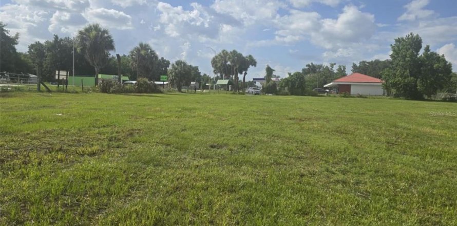 Land in Fort Meade, Florida № 1317789