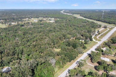 Land in Spring Hill, Florida № 1420767 - photo 15