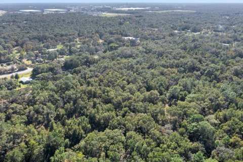 Land in Spring Hill, Florida № 1420767 - photo 14