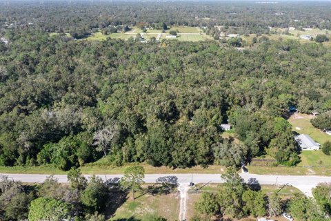 Land in Spring Hill, Florida № 1420767 - photo 12