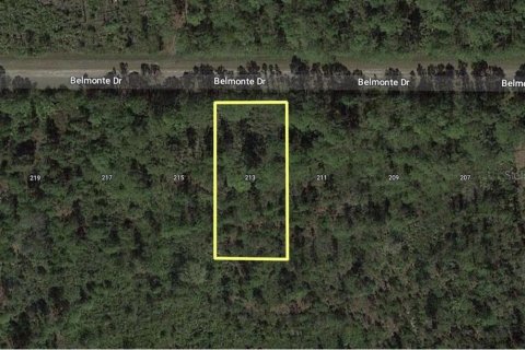 Terrain à vendre à Indian lake estates, Floride № 2160869 - photo 4