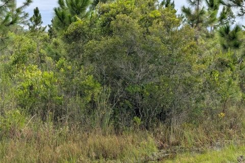 Terrain à vendre à Indian lake estates, Floride № 2160869 - photo 3