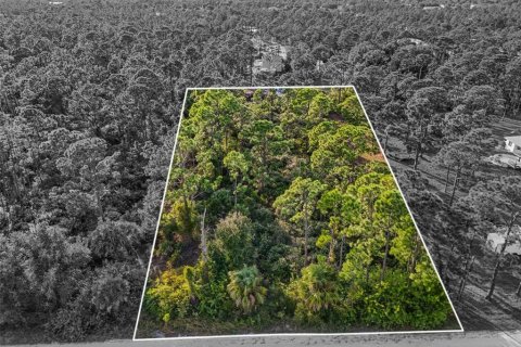 Terreno en venta en Punta Gorda, Florida № 2155526 - foto 2