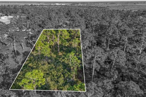 Terreno en venta en Punta Gorda, Florida № 2155526 - foto 3