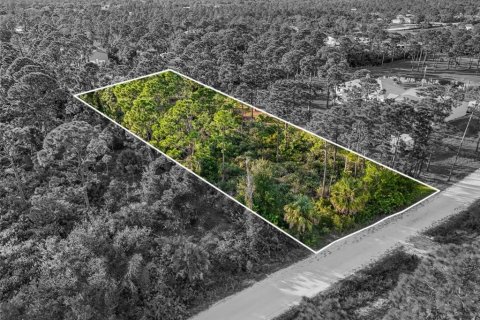 Terreno en venta en Punta Gorda, Florida № 2155526 - foto 6